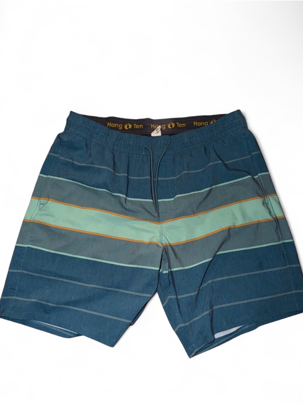 Hang Ten Men’s Teal & Mint Striped Swim Trunks